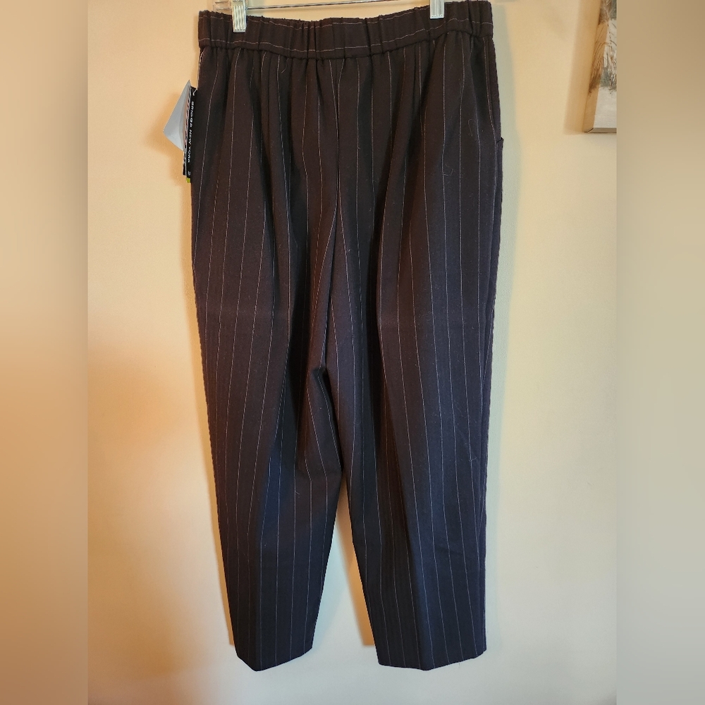 Briggs New York pinstripe dress pants 14S NWT